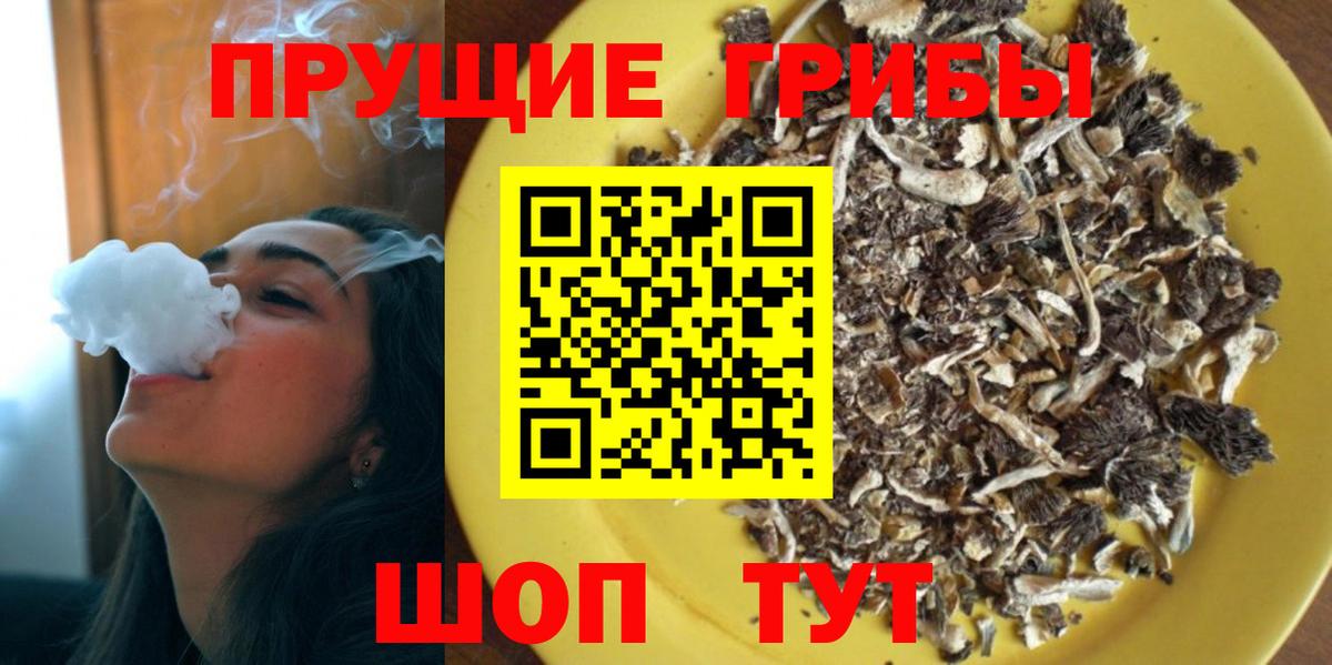 Салехард  Галлюциногенные грибы Psilocybine cubensis  Галлюциногенные грибы мицелий  Вход с VPN 